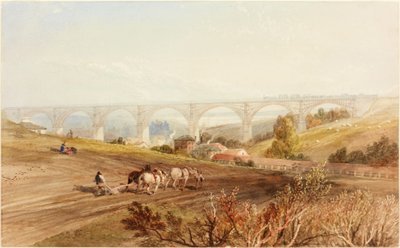 ويلينجتون دين فيادوكت (لون الجسم) بواسطة Thomas Miles Richardson